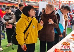 专业擂台初遇百年大集 天津探索农业赛事