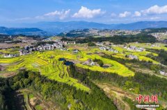 春耕见闻：牵电引水润沃野，铺筑“耕”